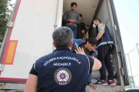 Amasya'da Mercimek Yüklü Tirdan 40 Kaçak Göçmen Çikti Haberi