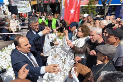 Bolu'da 20 Bin Fidan Dagitildi