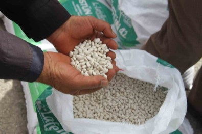 Konya'da 'Kuru Fasulye Ile Beyaz Bahar' Projesi Hayata Geçiriliyor