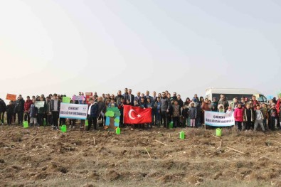 Kütahya'da Fidan Dikimi Etkinligi