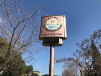 Adana'da Mart Ayinda Yaz Havasi