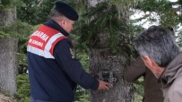 Jandarma Ekipleri Dünya Yaban Hayati Günü'nde Dogaya Yem Birakti