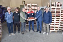 Aydin'da 12,5 Bin Ton Taze Çilek Yurtdisina Ihraç Ediliyor