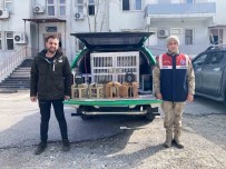 Bitlis'te Keklik Avlayan 4 Kisiye 106 Bin 135 Lira Para Cezasi