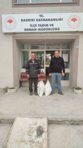 Çiftçilere Yüzde 50 Hibe Destekli Tohum Dagitimi Yapildi