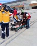 Apandisit Hastasi Helikopterle Van'a Sevk Edildi Haberi