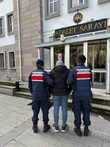 Hirsizlik Suçundan 5 Yil Hapis Cezasi Ile Aranan Sahsi Jandarma Yakaladi