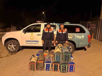 Manisa'da Horoz Dövüsüne Suçüstü