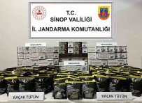 Sinop'ta Kaçak Tütün Operasyonu Haberi