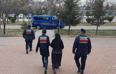 Hirsizliktan Aranan Kadin Jandarma Ekiplerince Yakalandi