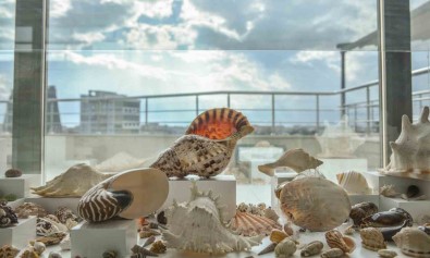 Türkiye'de Bir Ilk Olan 'Müze Belediye' Açiliyor