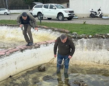 Daha önce görmediğimiz bir canlı: O ilimizde 30 tane bulundu!
