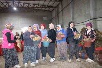 Patates Isçisi Kadinlar 8 Mart'i Islerinin Basinda Geçirdi