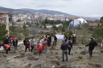 Yozgat'ta 300 Fidan, Depremde Hayatini Kaybeden Kadinlar Anisina Toprakla Bulustu