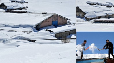 Bu köyde kar 8 ay kalıyor: Umutla baharı bekliyorlar