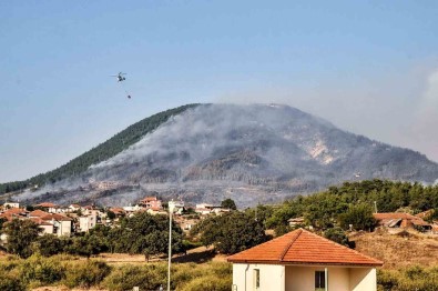 3 Gün Boyunca Yandi, Yeniden Orman Olmasi 30 Yil Sürecek