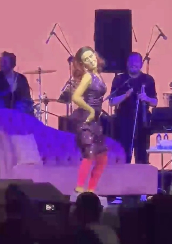 Yıldız Tilbe konsere damga vurdu!