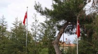 Sehit Mezarlarinda 'Türk Bayragi Yok' Iddiasi Yalan Çikti