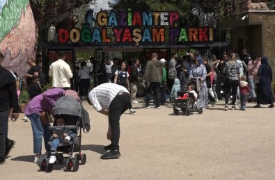Vatandaslar Bayramda Gaziantep Hayvanat Bahçesi'ne Akin Etti