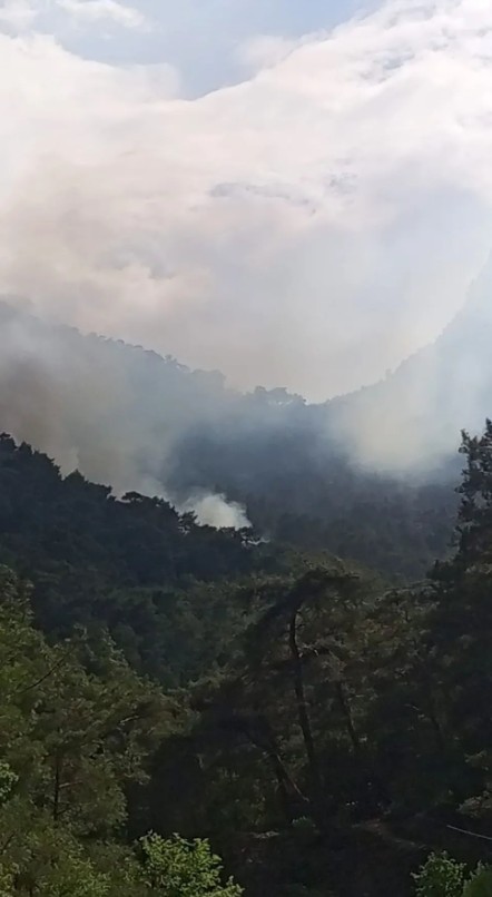 Antalya'da orman yangını