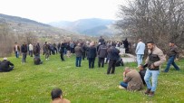 Sinop'ta Bayram Aciya Dönüstü Açiklamasi 3 Çocuk Annesi Kadin Kazada Hayatini Kaybetti