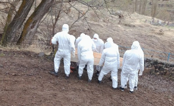 Kene yine can aldı! Sadece 2 gün dayanabildi