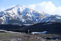 Erzurum'un Bir Yani Kar Bir Yani Bahar Haberi