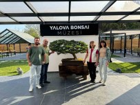 Türkiye'nin Ilk Bosai Müzesi Bayramda Ilgi Gördü Haberi