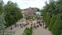 Gaziantep Dogal Yasam Parki'na Bayramda Ziyaretçi Akini Haberi