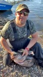 Sapanca Gölü'nde 24 Kiloluk Balik Yakaladi, Üremesi Için Suya Geri Birakti Haberi