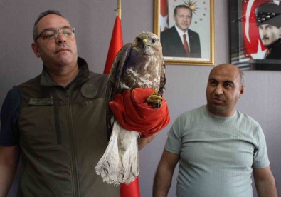 Yarali Sahin 'Bayram' Tedavi Altina Alindi