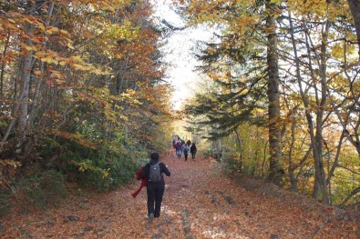 Milli Parklar Ve Tabiat Parklarini Ramazan Bayrami'nda 3 Milyona Yakin Kisi Ziyaret Etti