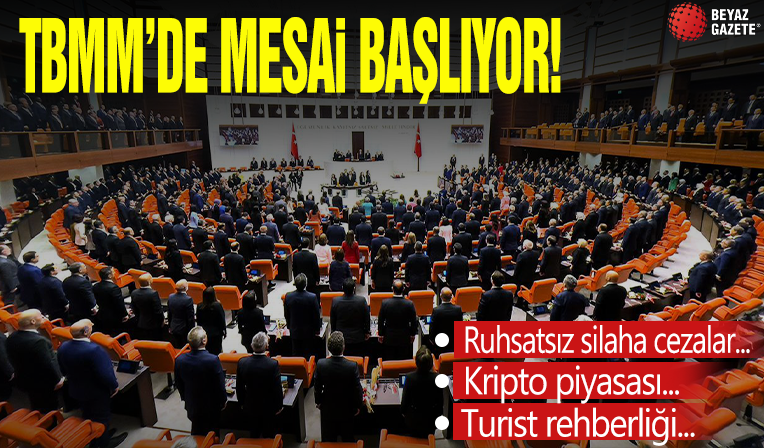 TBMM'de mesai başlıyor! İşte konu başlıkları...