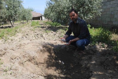 Bahçesini Çapalayan Çiftçinin Pulluguna Takilan Küpten Bizans Dönemi Sikkeleri Çikti