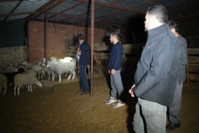 Bütün köy diken üstünde! Gece boyu nöbet tutuyorlar sebebi ise…