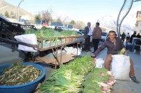 Hakkari'de Sifali Bitkilere Büyük Ilgi Haberi