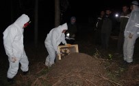 Vezirköprü'de Gece Yarisi Kirmizi Karinca Operasyonu Açiklamasi Zararli Böcekleri Yiyecek Haberi