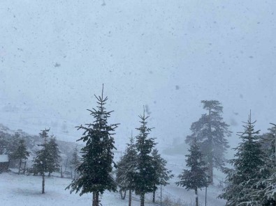 Bolu'da Nisan Ayinda Lapa Lapa Kar Yagisi