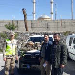 Mus'ta 4 Kisiye 52 Bin 500 TL Para Cezasi Kesildi