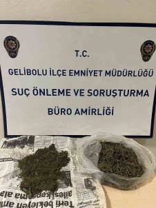 Gelibolu'da Bir Evde 186 Gram Uyusturucu Madde Ele Geçirildi