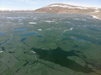 Kars'in Zirvesindeki Gölün Buzlari Çözülüyor
