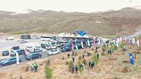 Kayseri'de 271 Bin 500 Fidan Toprakla Bulustu Haberi