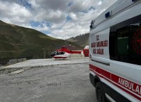 Van'da Gögüs Agrisi Olan Hasta Için Ambulans Helikopter Havalandi