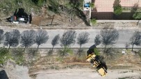 Hedef Nevsehir'i Türkiyenin En Temiz Sehri Yapmak Haberi