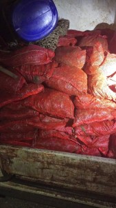 Yalova'da 1 Ton 150 Kilo Kaçak Midye Ele Geçirildi