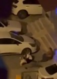 Adana'da Evden Kaçan Pitbull Dehseti Kamerada Açiklamasi Sahibini Ve 2 Kisiyi Yaraladi