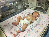 Annesi Kazada Ölüp Sezaryenle Dünyaya Gelen Bebek Hayata Tutundu Haberi