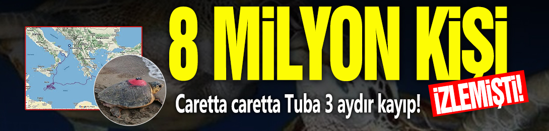 8 milyon kişi izlemişti: Caretta caretta Tuba 3 aydır kayıp!