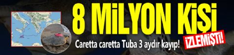 8 milyon kişi izlemişti: Caretta caretta Tuba 3 aydır kayıp!