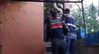 Osmaniye'de Jandarmadan Terör Operasyonu Açiklamasi 1 Tutuklama Haberi